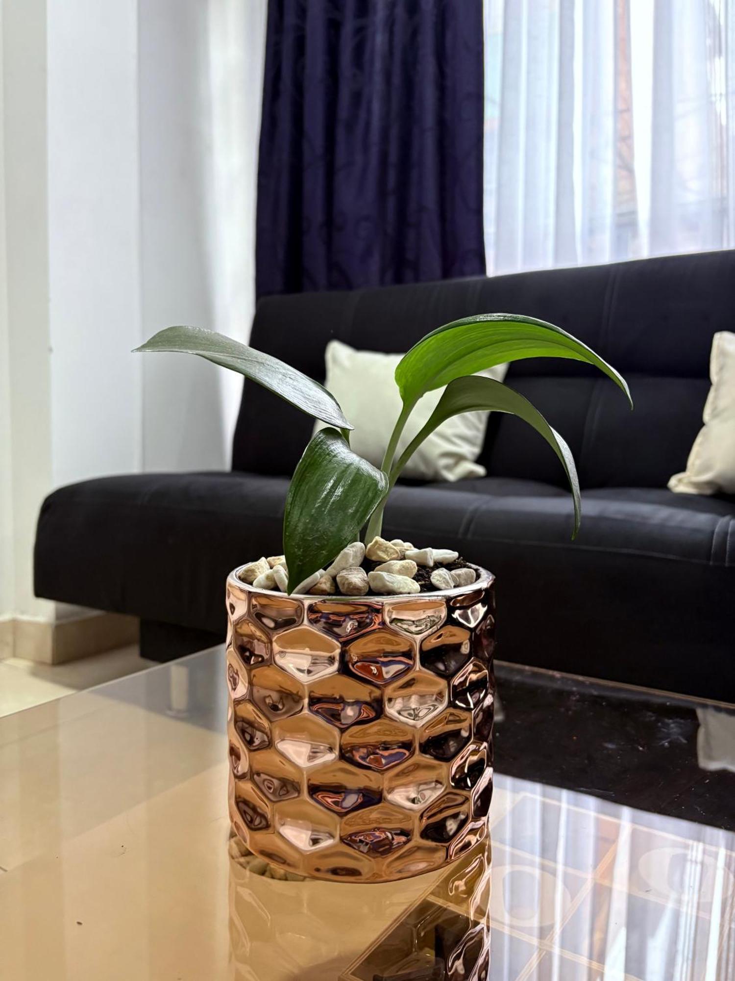 Apartment Guambi Vip Bogota
